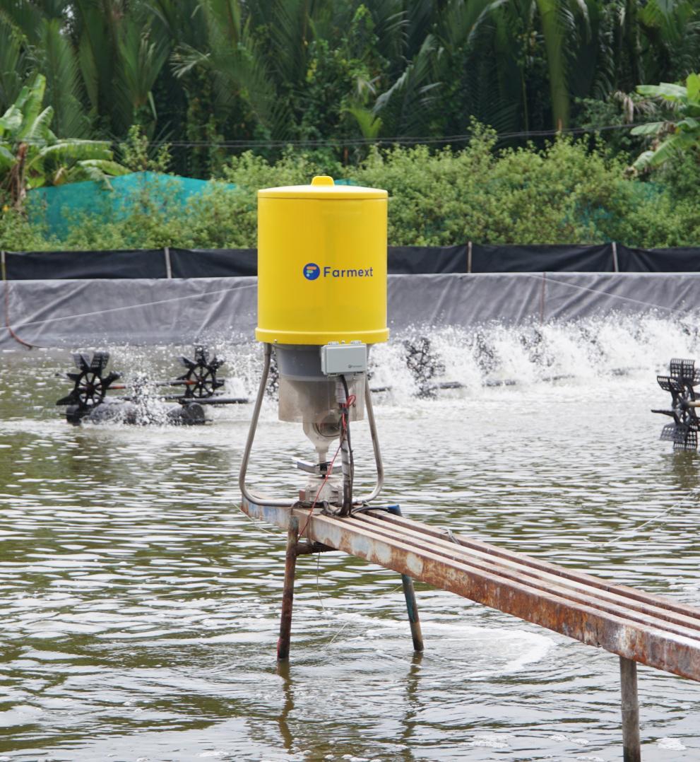 Farmext Feeder on Pond Bridge
